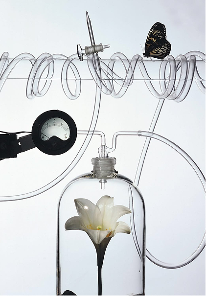 EXPLORING THE HISTORY OF PERFUMES IN INDIA